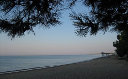 Beach in Halkidiki